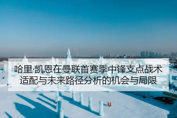 哈里·凯恩在曼联首赛季中锋支点战术适配与未来路径分析的机会与局限