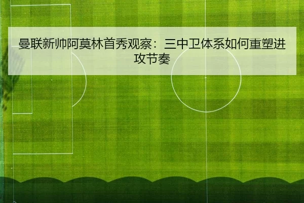 man-lian-xin-shuai-a-mo-lin-shou-xiu-guan-cha-san-zhong-wei-ti-xi-ru-he-zhong-su-jin-gong-jie-zou-3-745.jpg