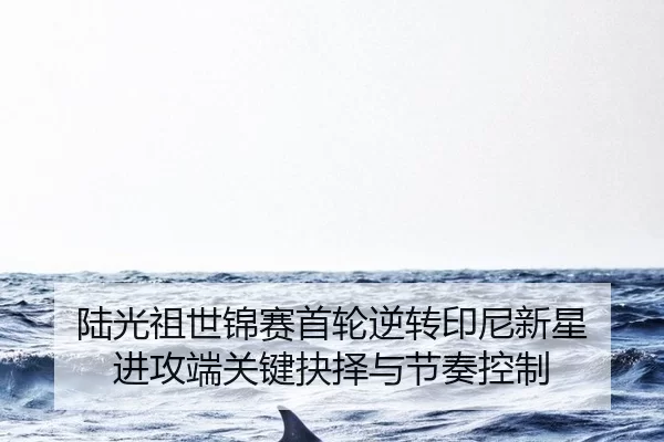 lu-guang-zu-shi-jin-sai-shou-lun-ni-zhuan-yin-ni-xin-xing-jin-gong-duan-guan-jian-jue-ze-yu-jie-zou-kong-zhi-2-837.jpg